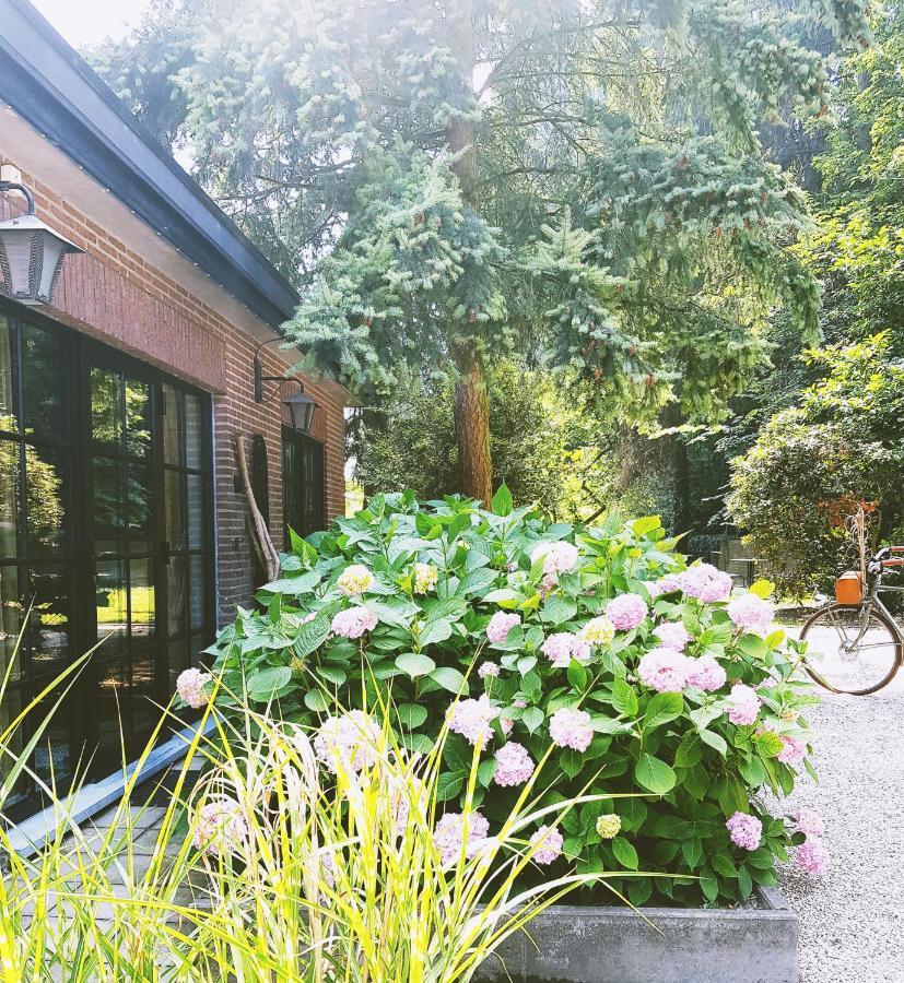 Vakantiehuis ABEL Dilsen-Stokkem Buitenkant foto